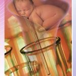 fecundacion in vitro