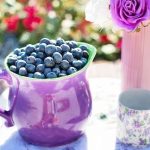 alimentos dieta por puntos