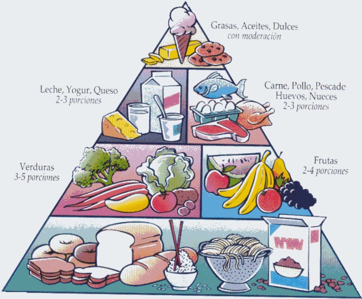 Aprende a llevar una dieta equilibrada y sana