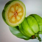 Garcinia cambogia propiedades