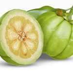 garcinia cambogia propiedades