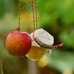 semilla-manzana-cancer